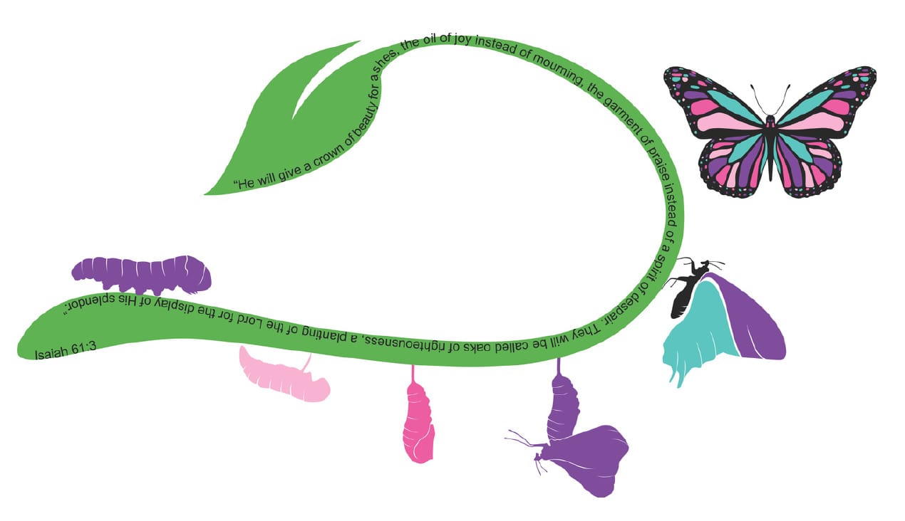 a butterfly's metamorphosis a butterfly's metamorphosis